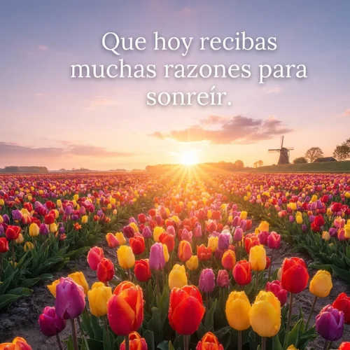 Buenos Días Feliz Viernes Bendiciones