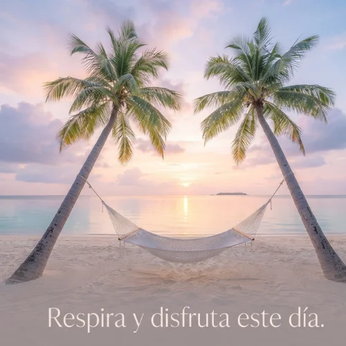 Buenos Días Martes Frases Positivas