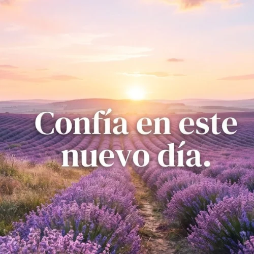 Frases y Pensamientos Positivos de Buenos Días