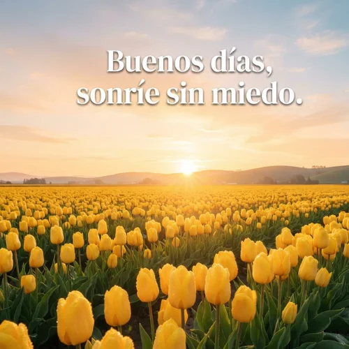 Imágenes de Buenos Días y Bendiciones